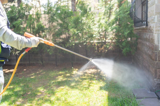 Best Local Pest Control Services  in Minerva Park, OH